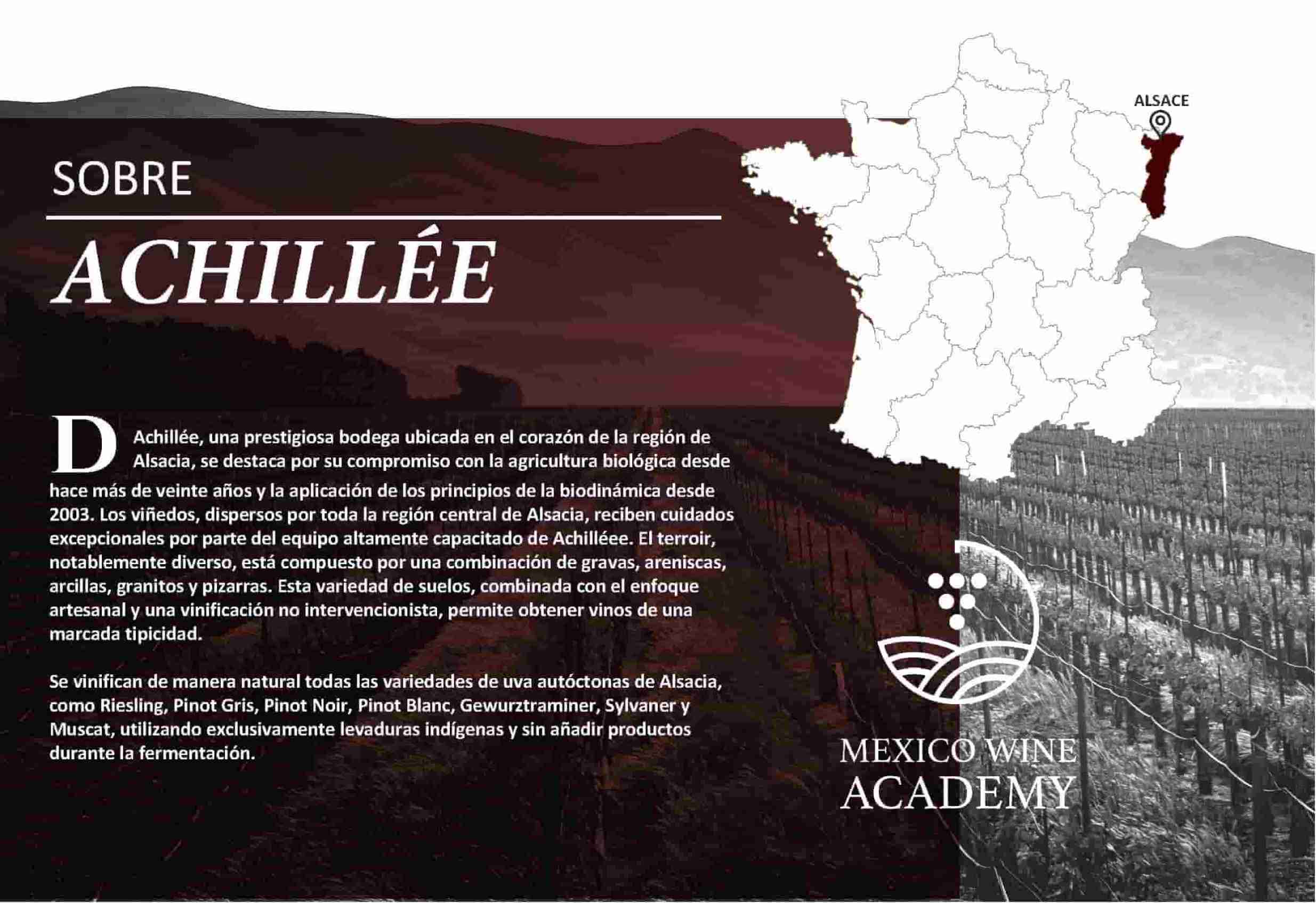 Achillée Ficha Técnica