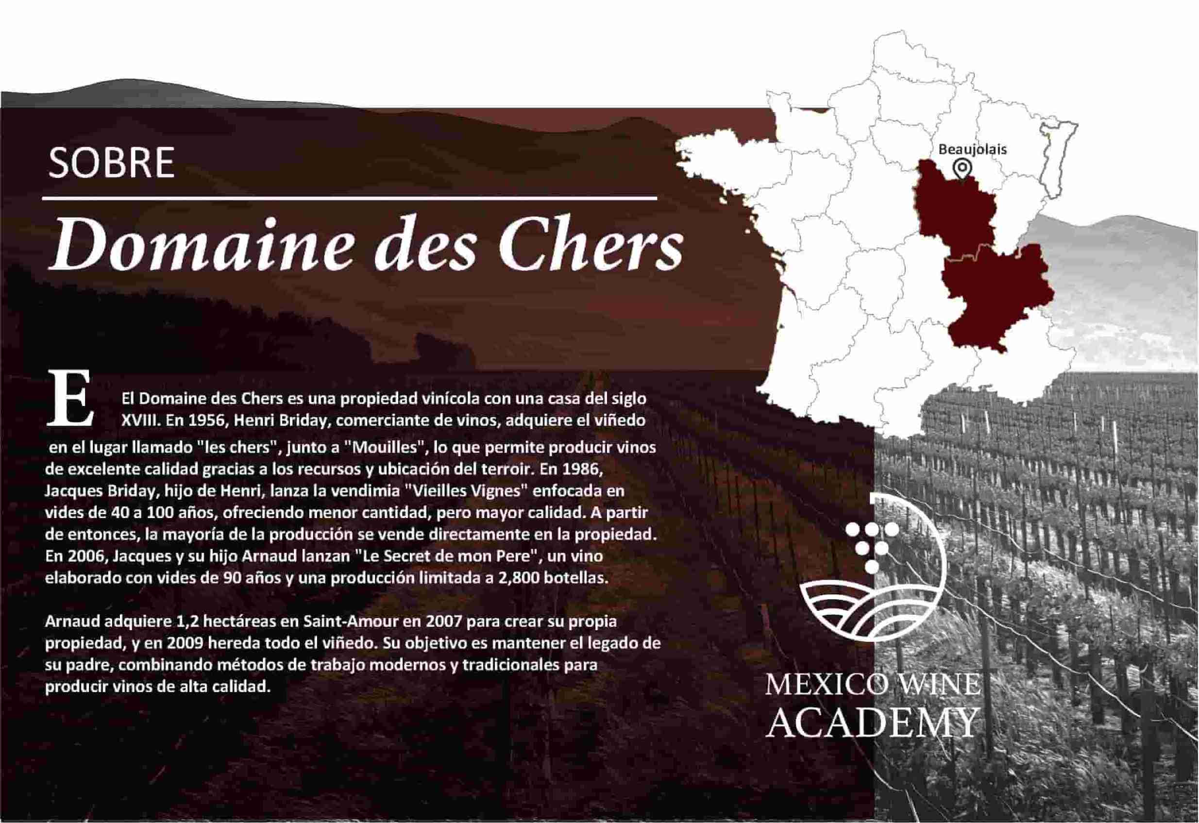 Domaine des Chers Ficha Técnica