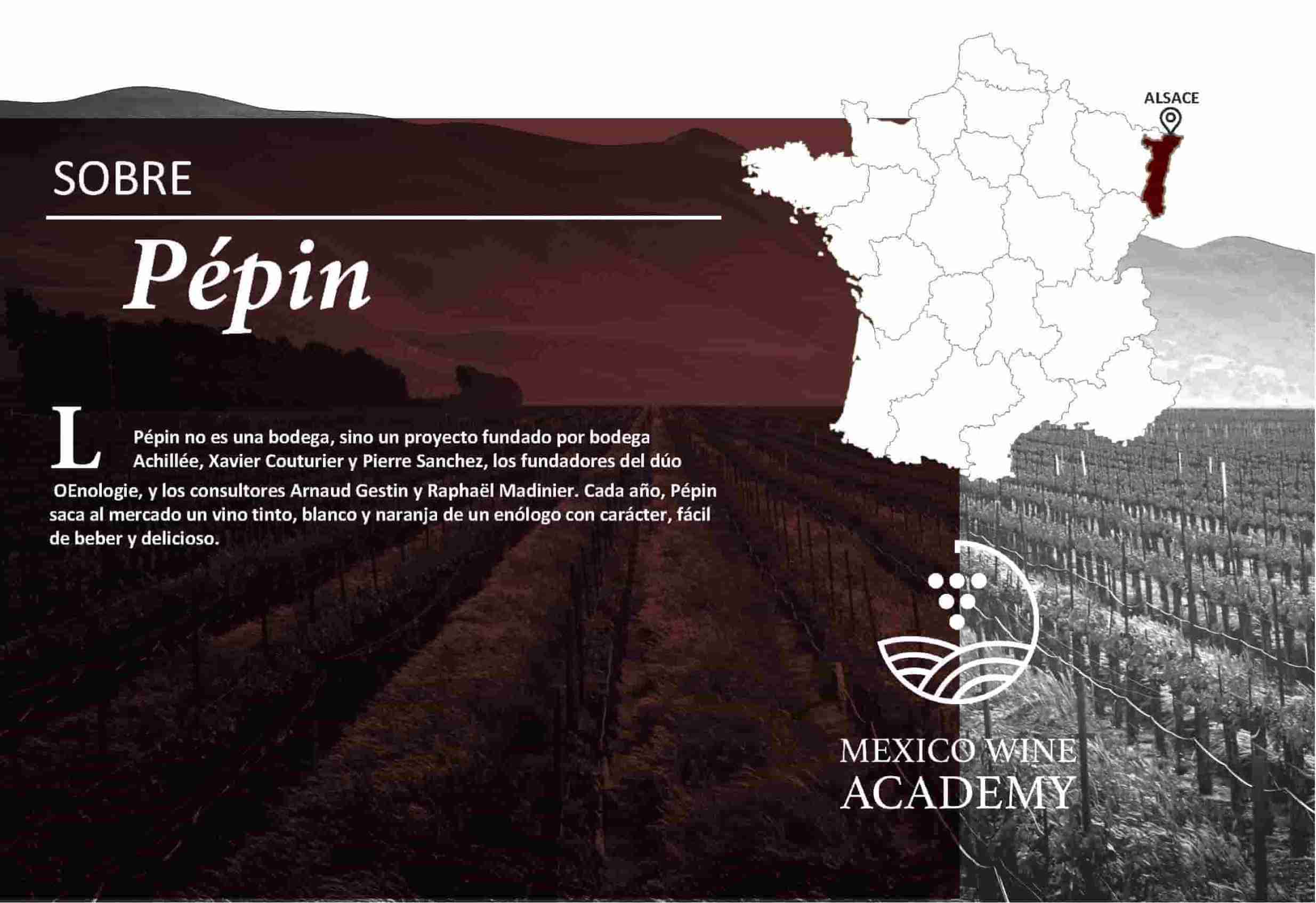 Pépin Ficha Técnica