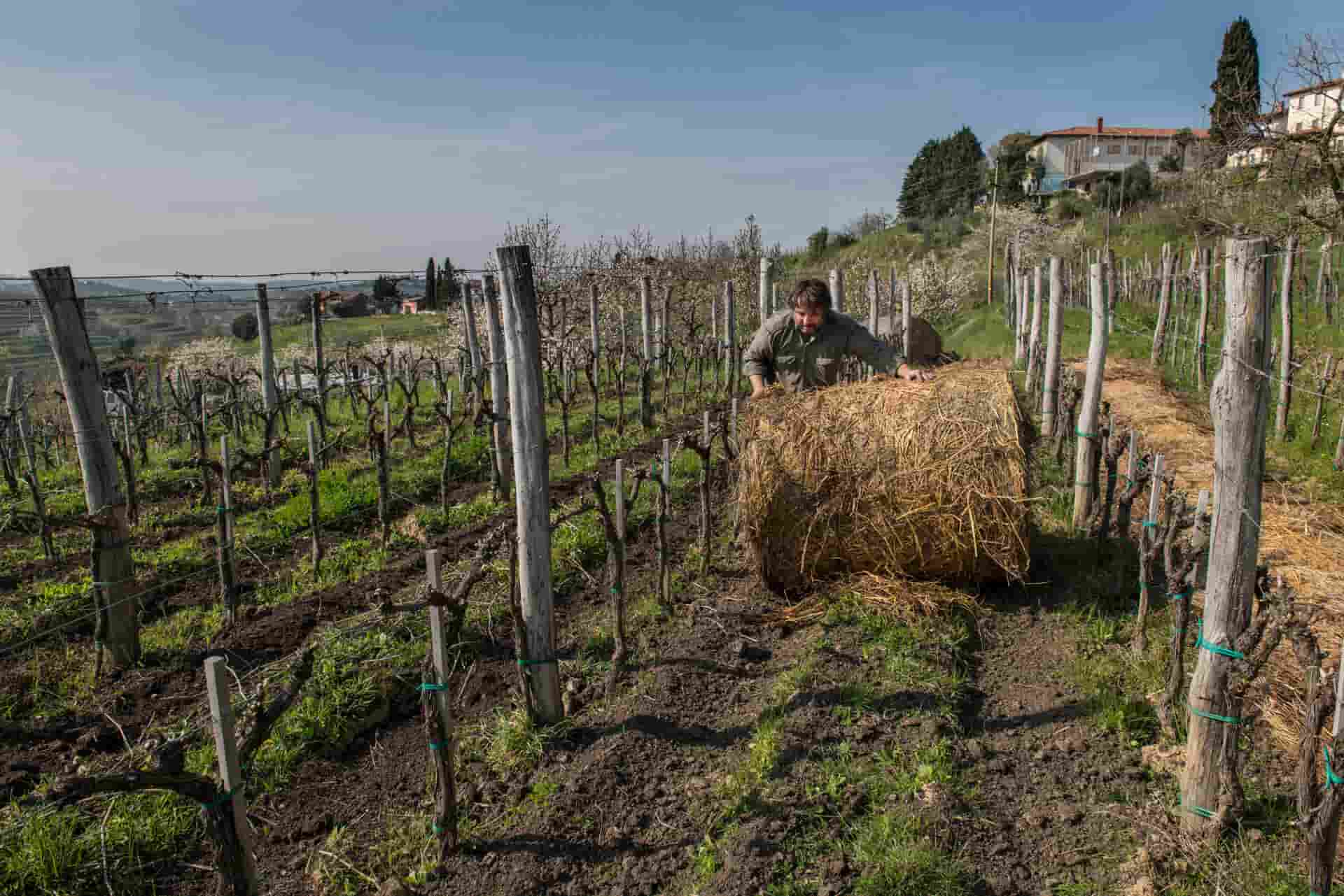 klinec Madana Eslovenia