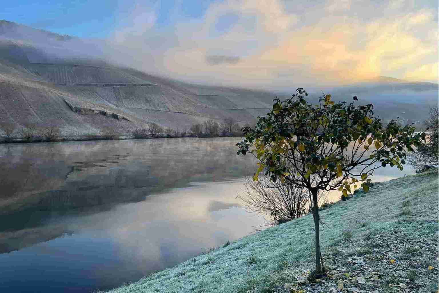 Joh Jos Prum Weingut Eiswein