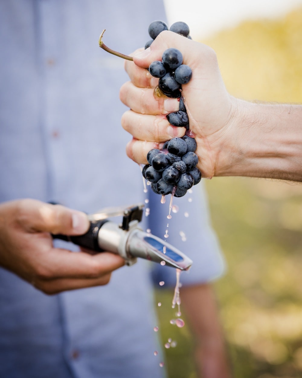 Weingut Gebruder Nittnaus Eiswein