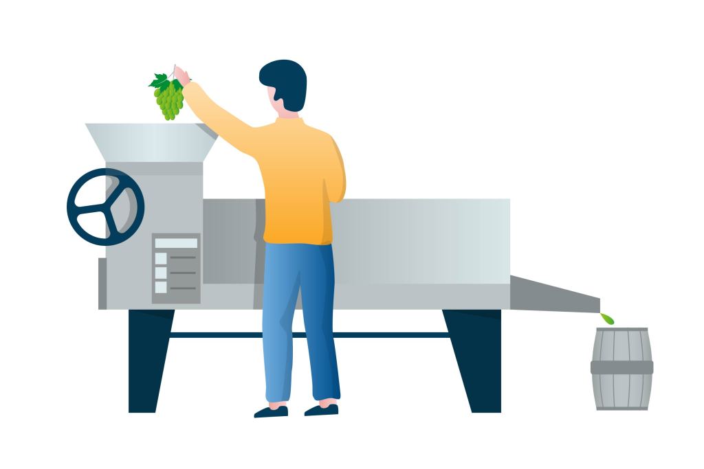 Despalillado Vino Blanco