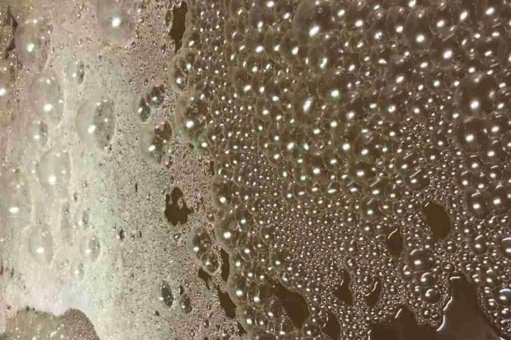 Fermentación de Champagne