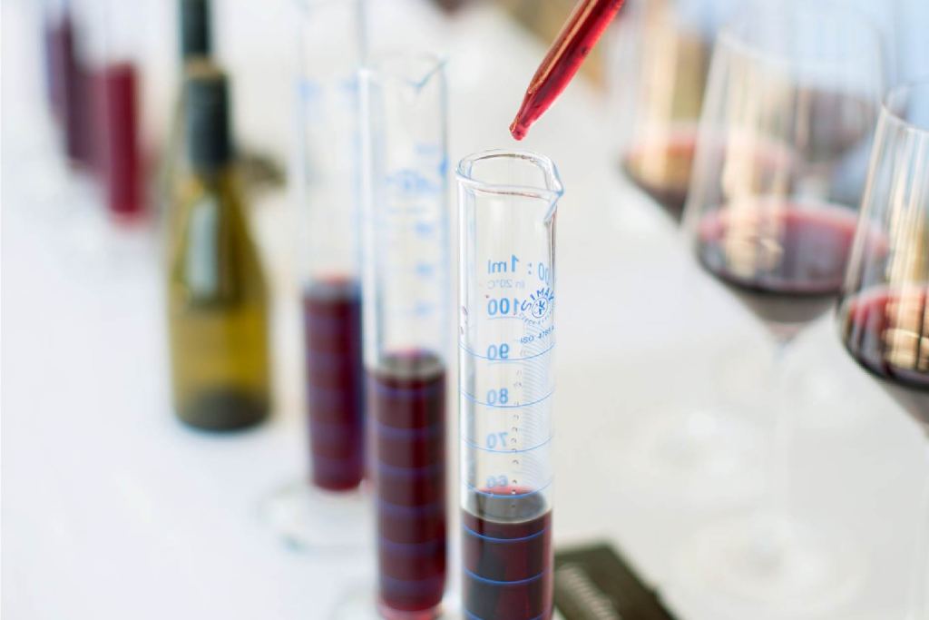 Ensamble de Champagne