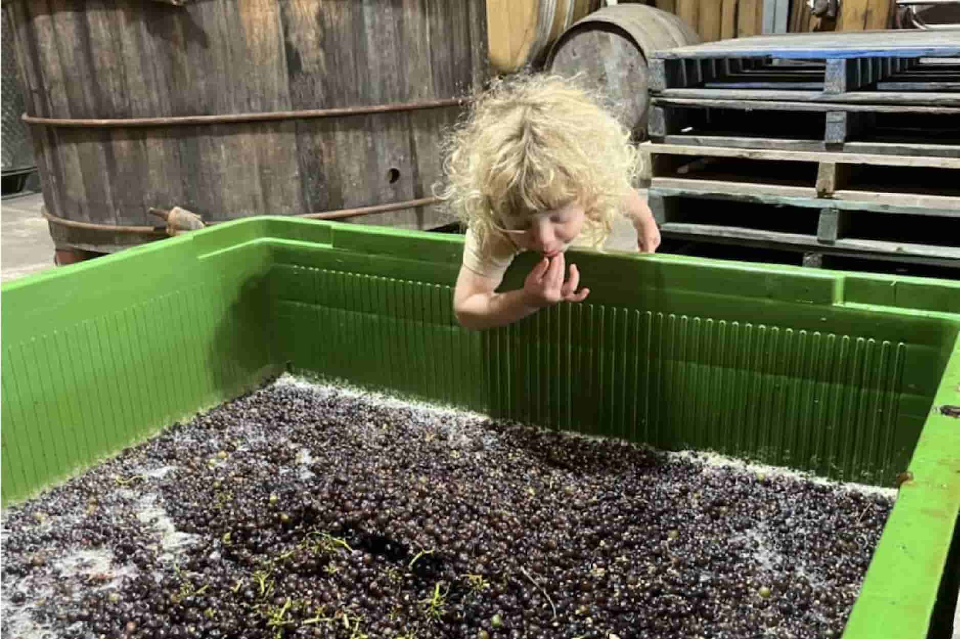 Lucy Margaux Australia