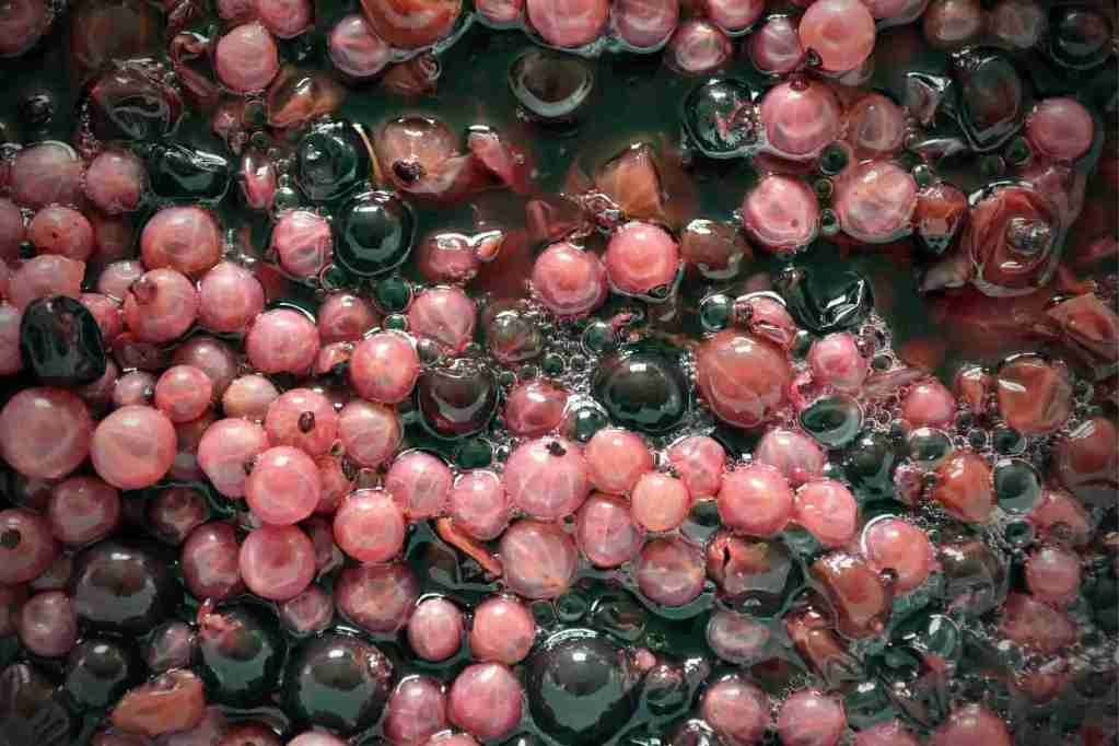 Maceración Corta – Vino Rosado