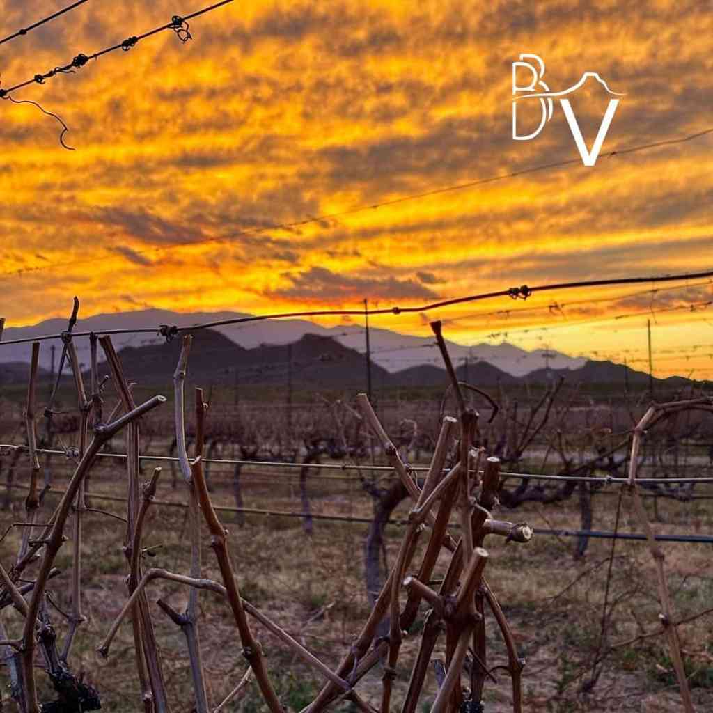 Bodega Barro Viejo Eventos