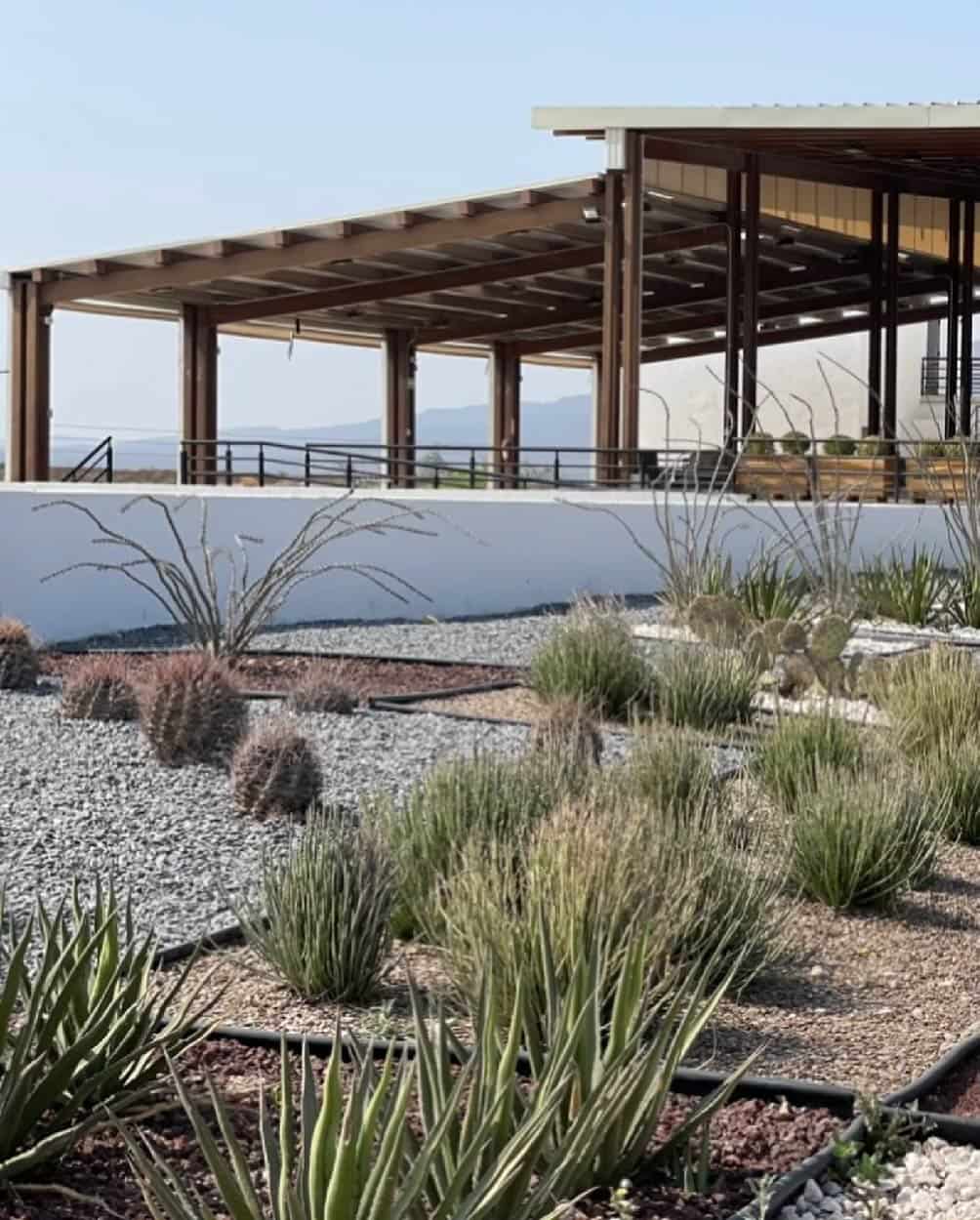 Hacienda Florida, Bodega