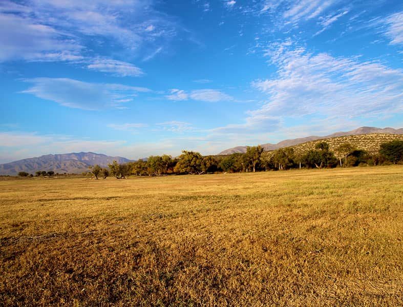 Suelos de San Buenaventura, Rancho El Fortín
