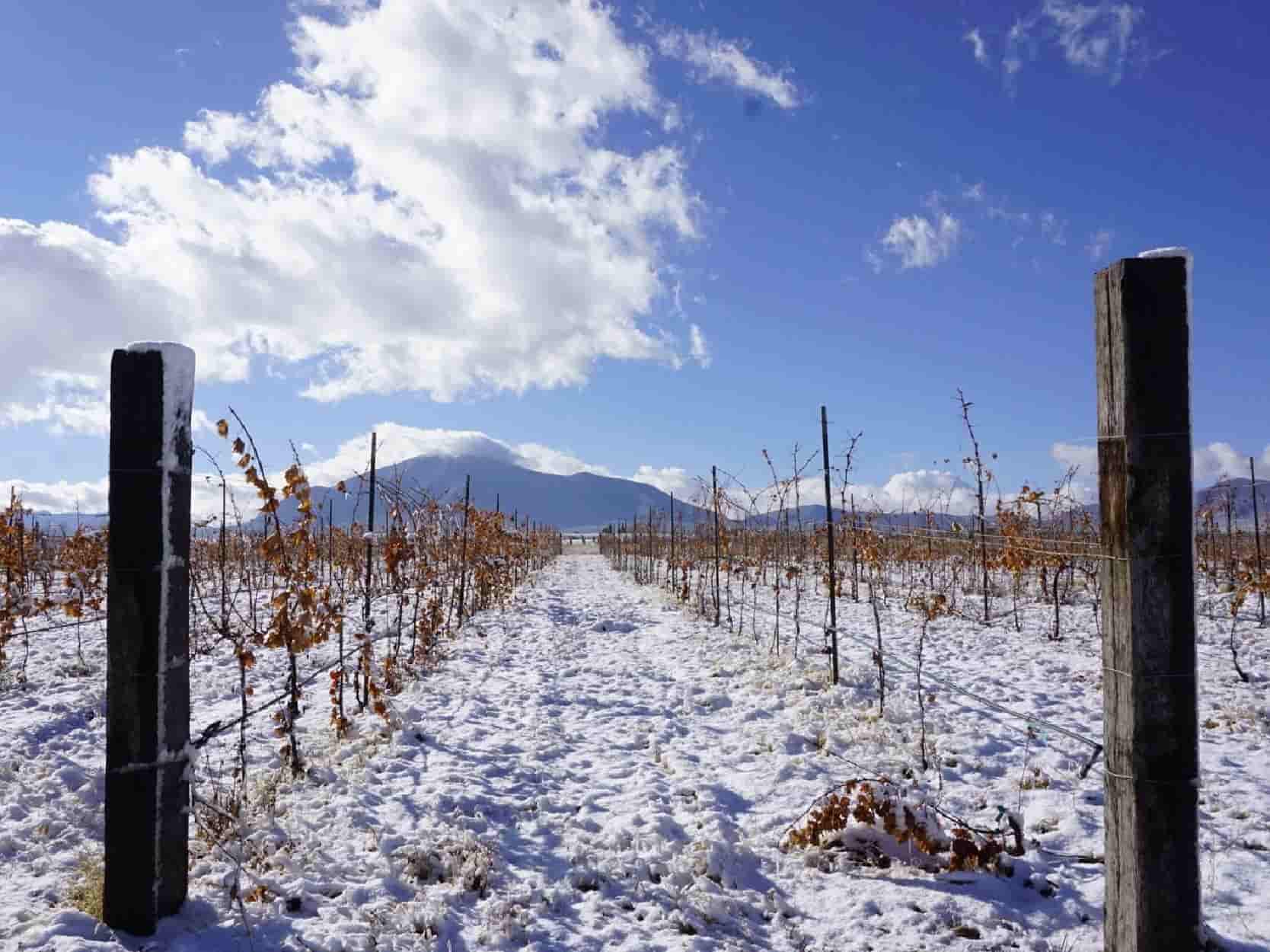 San Juan de la Vaquería, Invierno