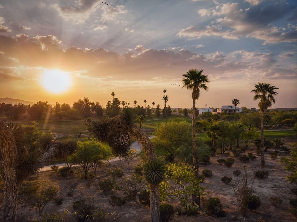 Torreón, Naturaleza