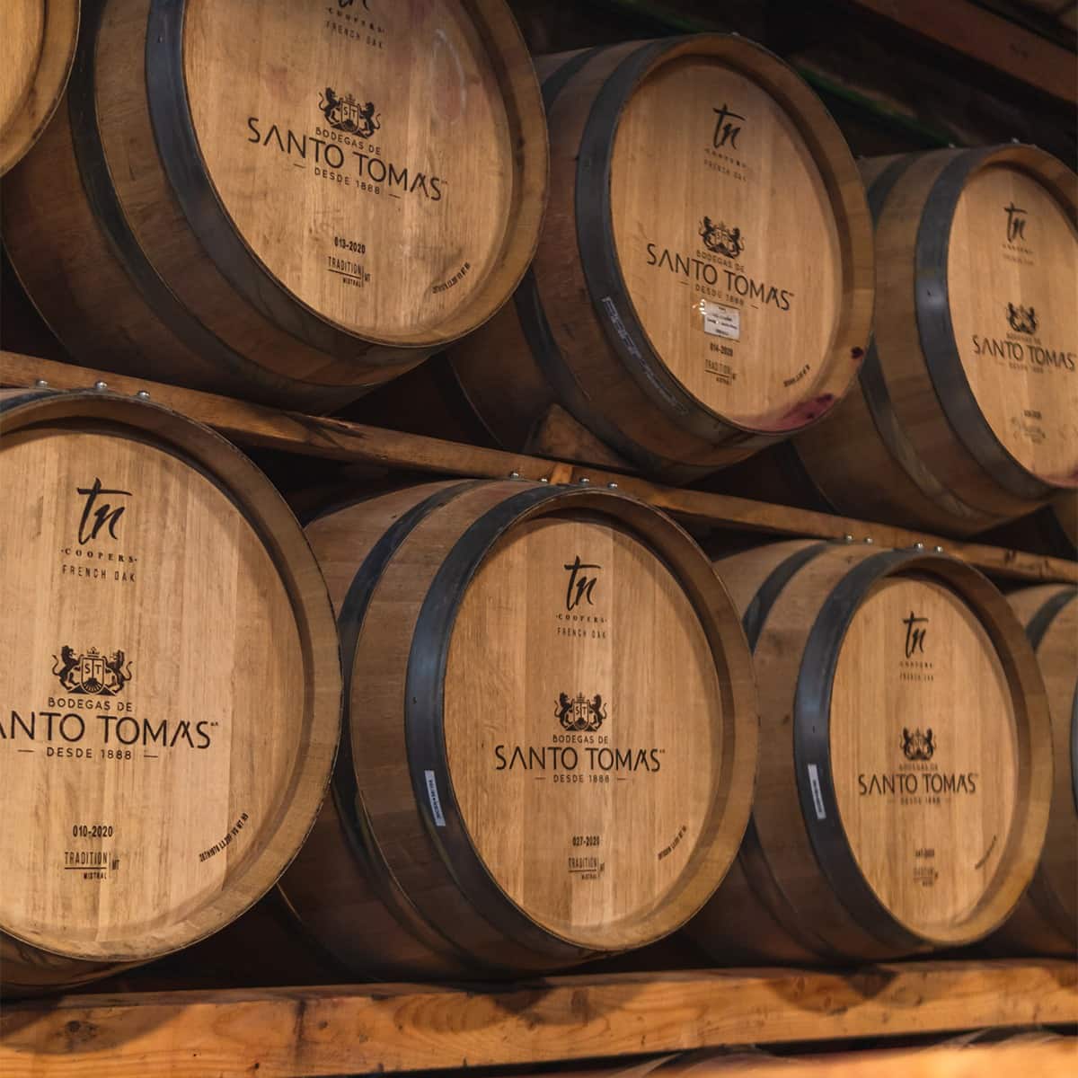 Barricas de Bodegas Santo Tomás