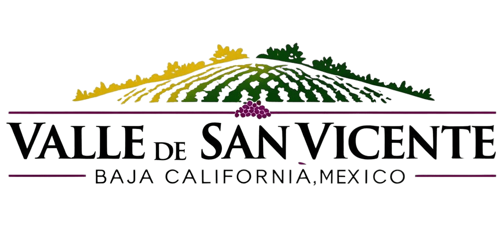 Valle de San Vicente Logo