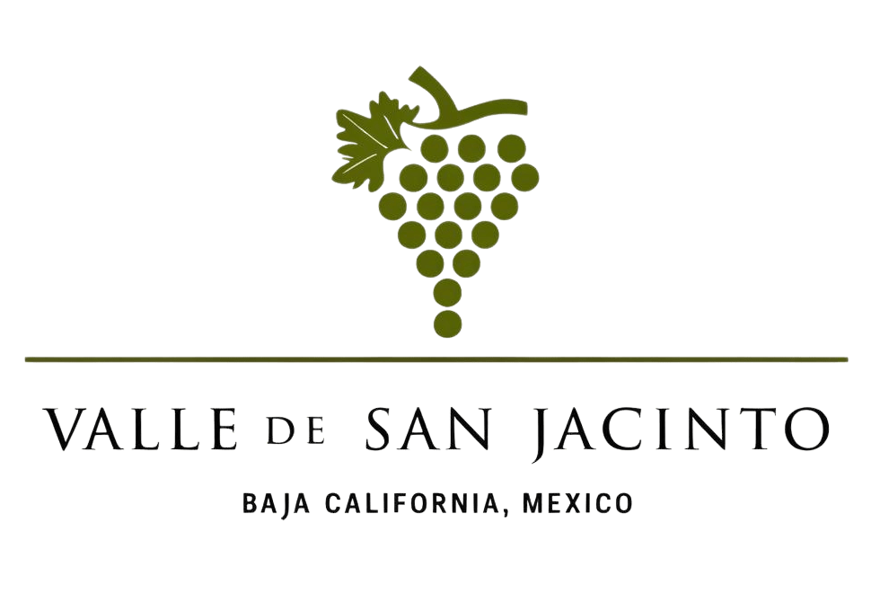 Valle de San Jacinto Logo