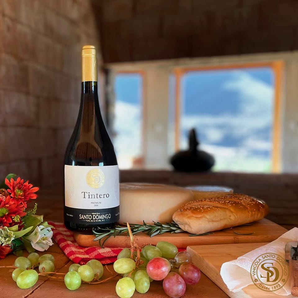Vinícola Santo Domingo, Vino