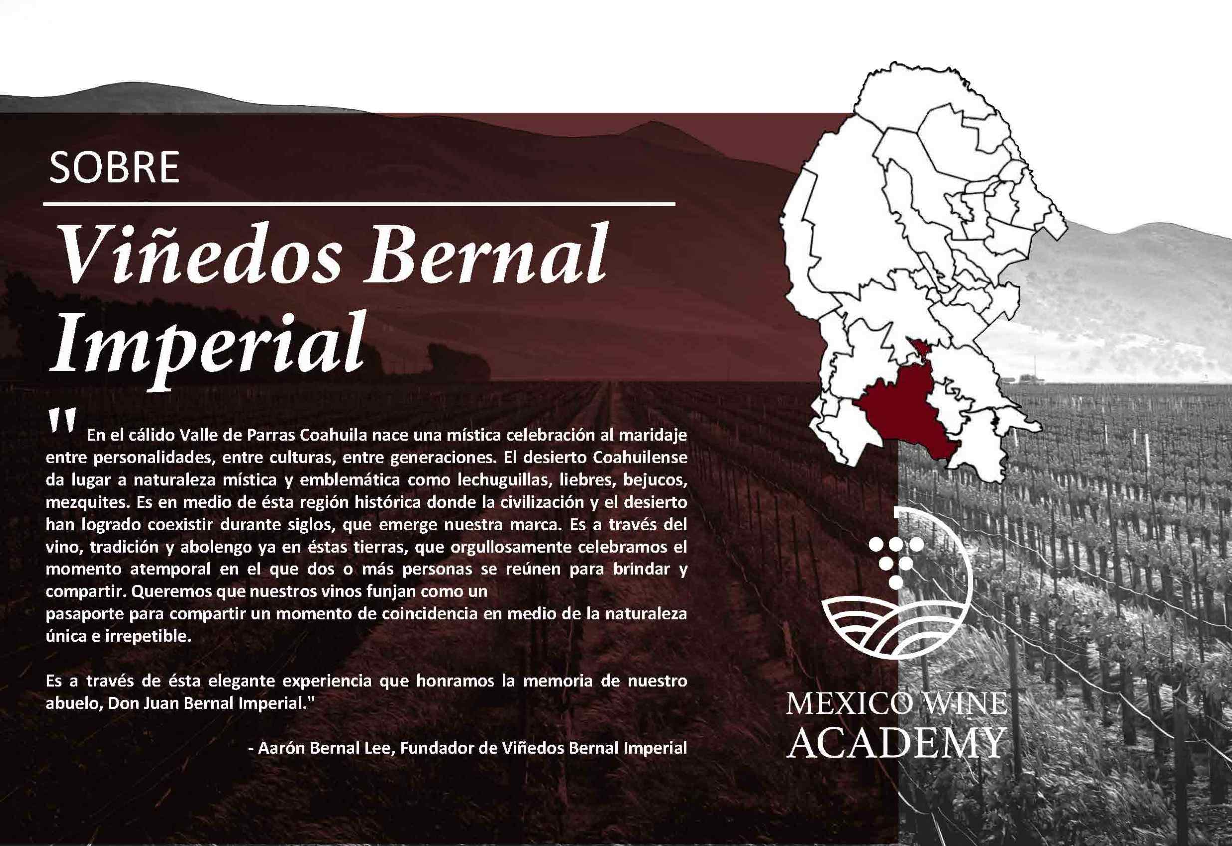 Ficha Informática Viñedos Bernal Imperial
